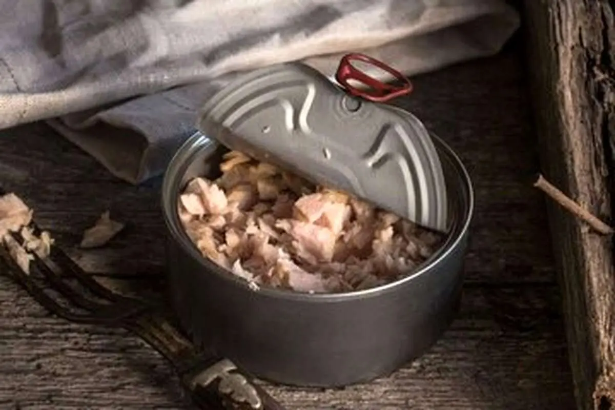 (ویدئو) استفادهای جالب و دیدنی از تن ماهی به عنوان اجاق آشپزی!