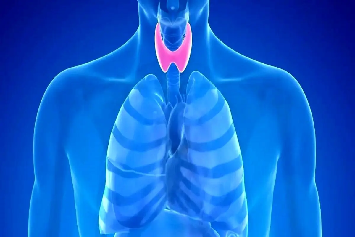 تیروئید پرکار(علائم، پیشگیری و درمان)