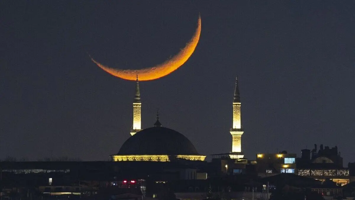 امشب مهمانی برویم فطریه‌مان با چه کسی است؟/نظر چهار مرجع تقلید