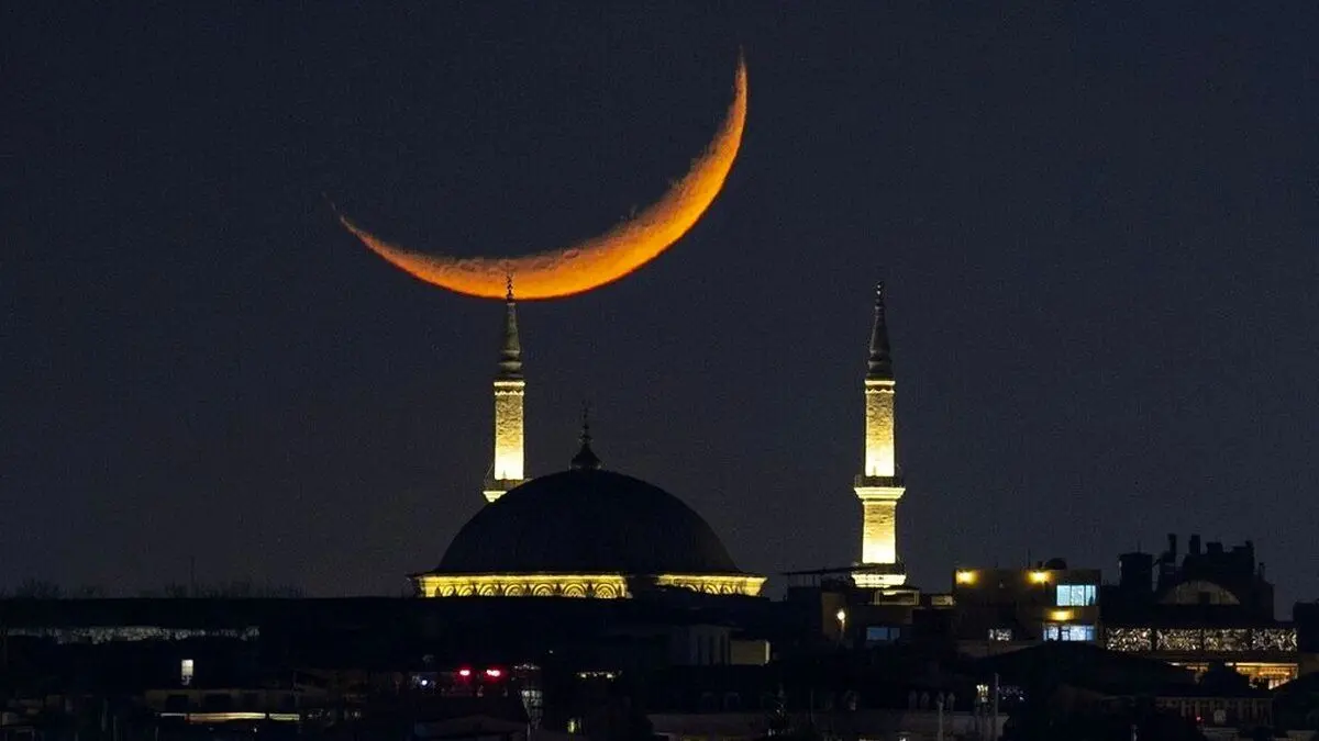 امشب مهمانی برویم فطریه‌مان با چه کسی است؟/نظر چهار مرجع تقلید