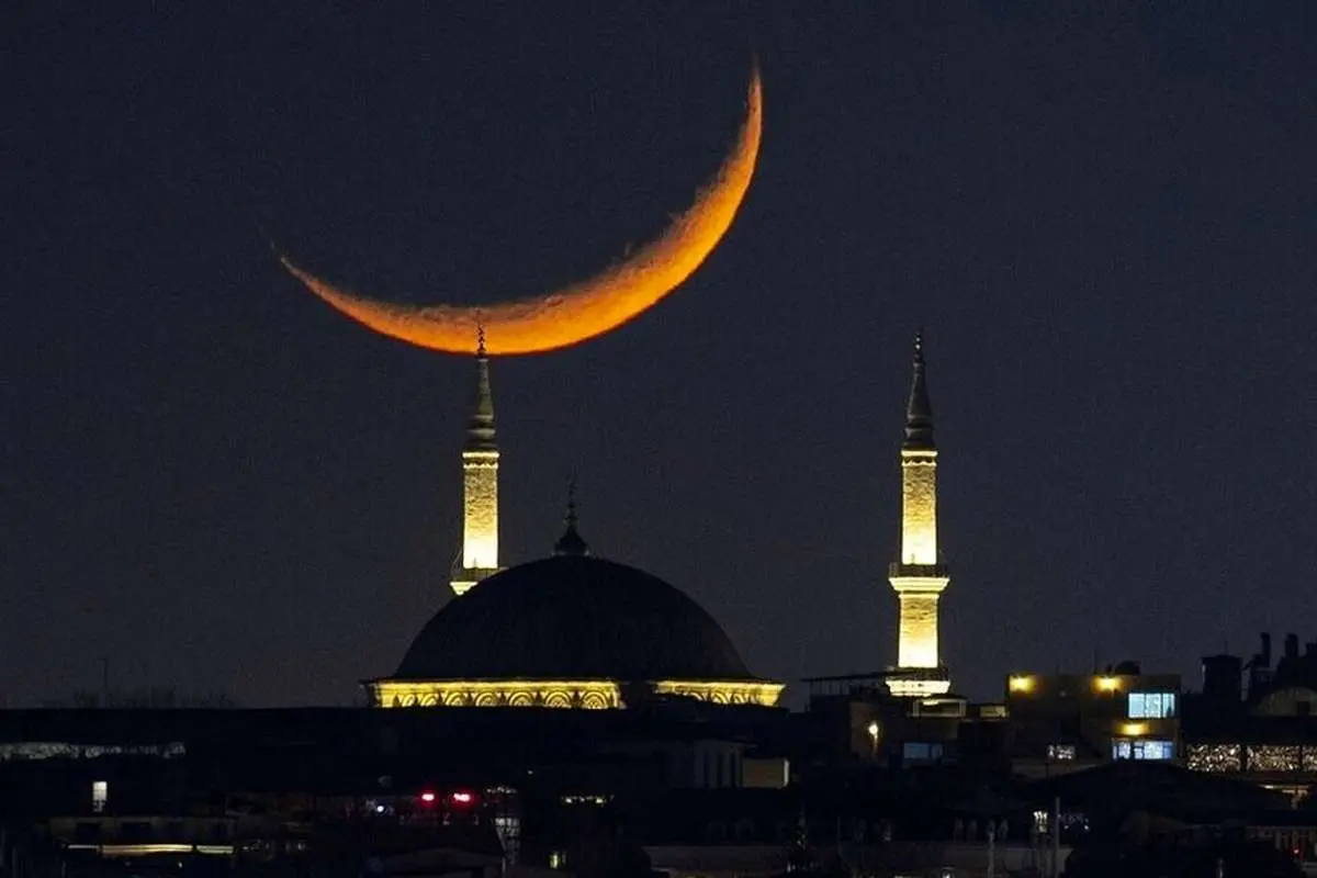 امشب مهمانی برویم فطریه‌مان با چه کسی است؟/نظر چهار مرجع تقلید