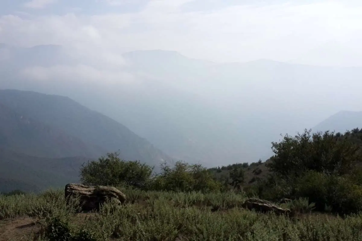 اگر قصد سفر یک روزه به اطراف تهران را دارید، این جنگل در انتظار شماست