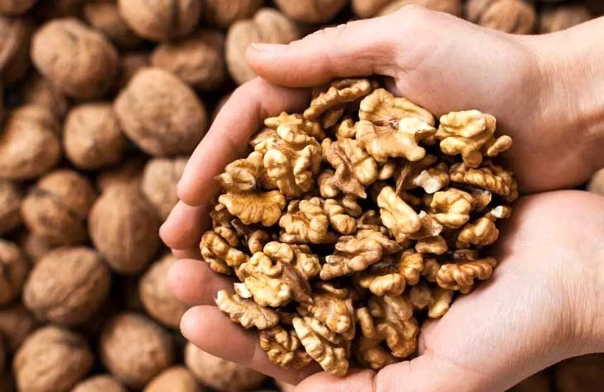 رشد شناختی و بلوغ روانی نوجوانان با مصرف گردو