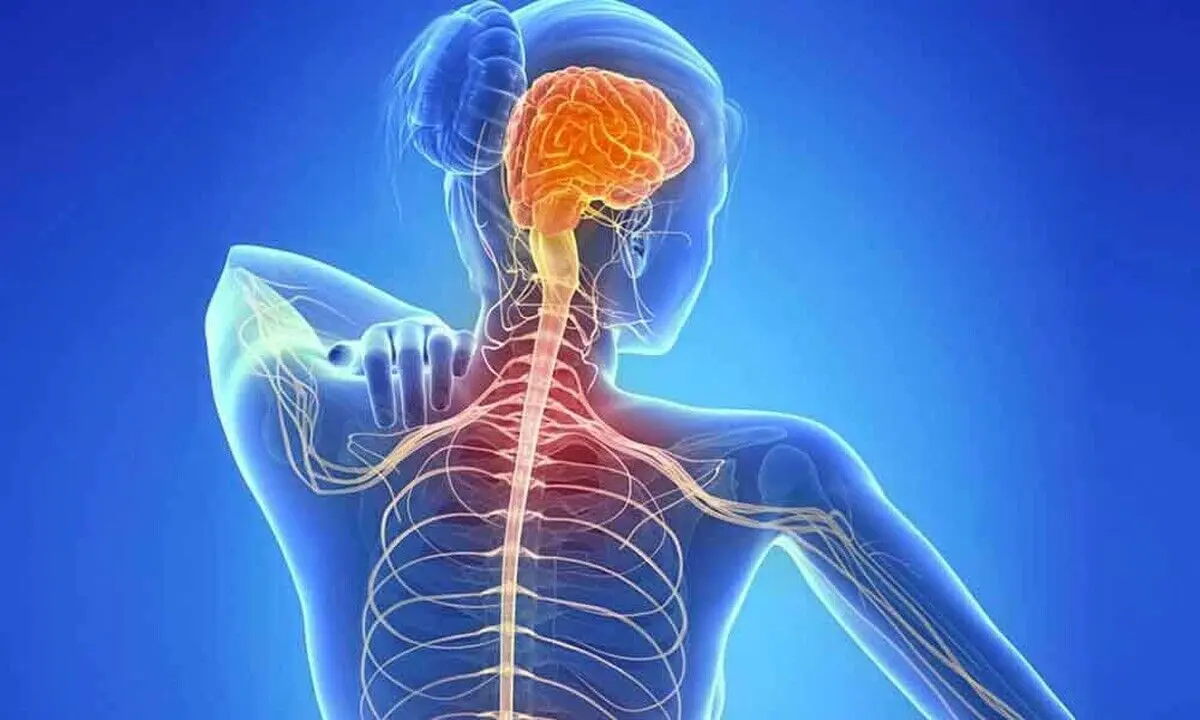 بیماری ام‌اس چگونه به وجود می‌آید؟