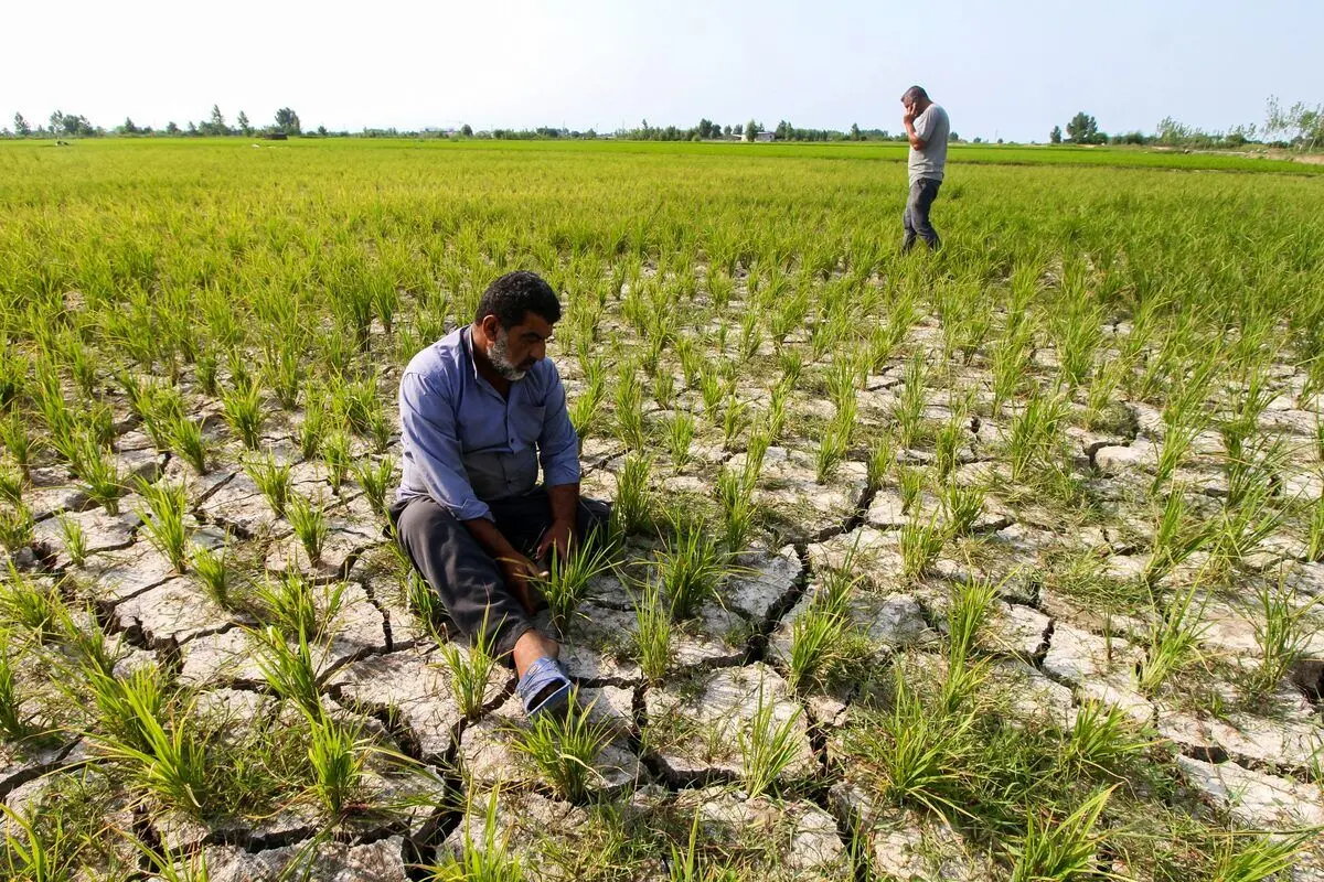 مهاجرت کشاورزان «شمال» به قزاقستان