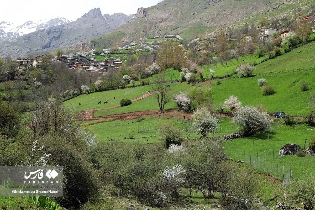 (تصاویر) طبیعت بهاری کوهستان چالوس