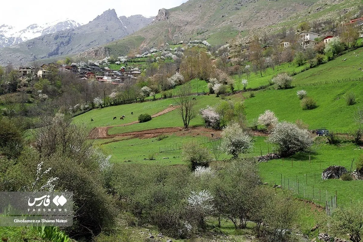 (تصاویر) طبیعت بهاری کوهستان چالوس