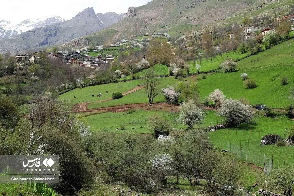 (تصاویر) طبیعت بهاری کوهستان چالوس