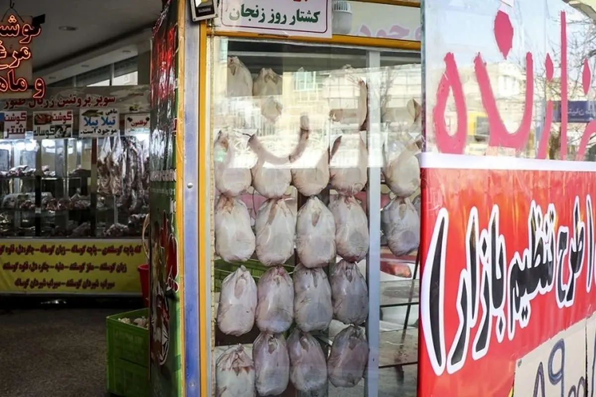 مرغ نایاب شد / «مرغ نیست، سوال نکنید»
