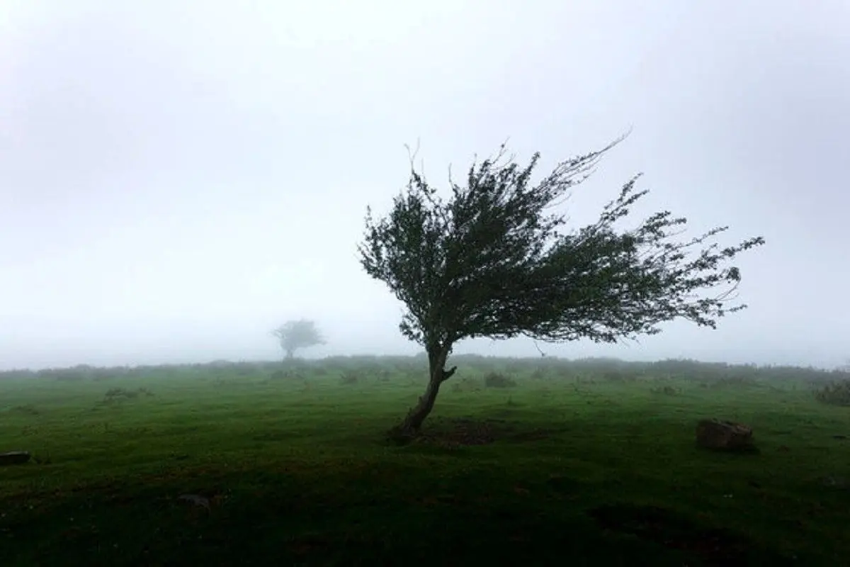وزش باد شدید در جنوب و غرب تهران