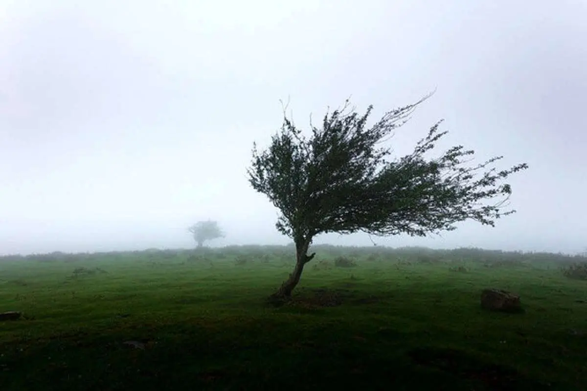 وزش باد شدید در جنوب و غرب تهران