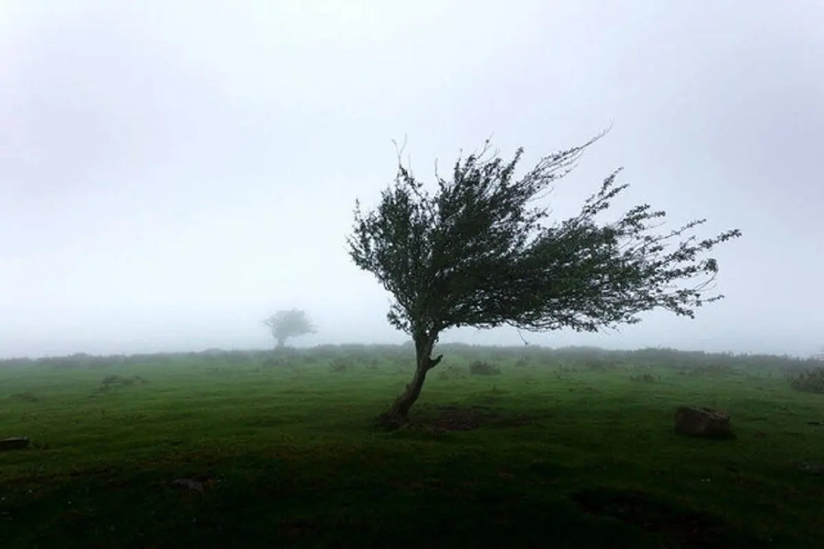 وزش باد شدید در جنوب و غرب تهران