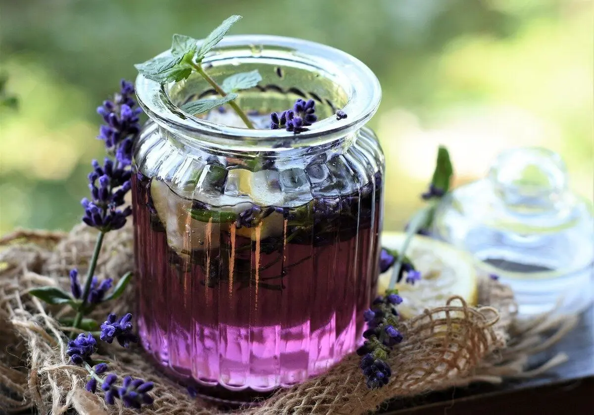 کاهش اضطراب و استرس با مصرف یک دمنوش گیاهی