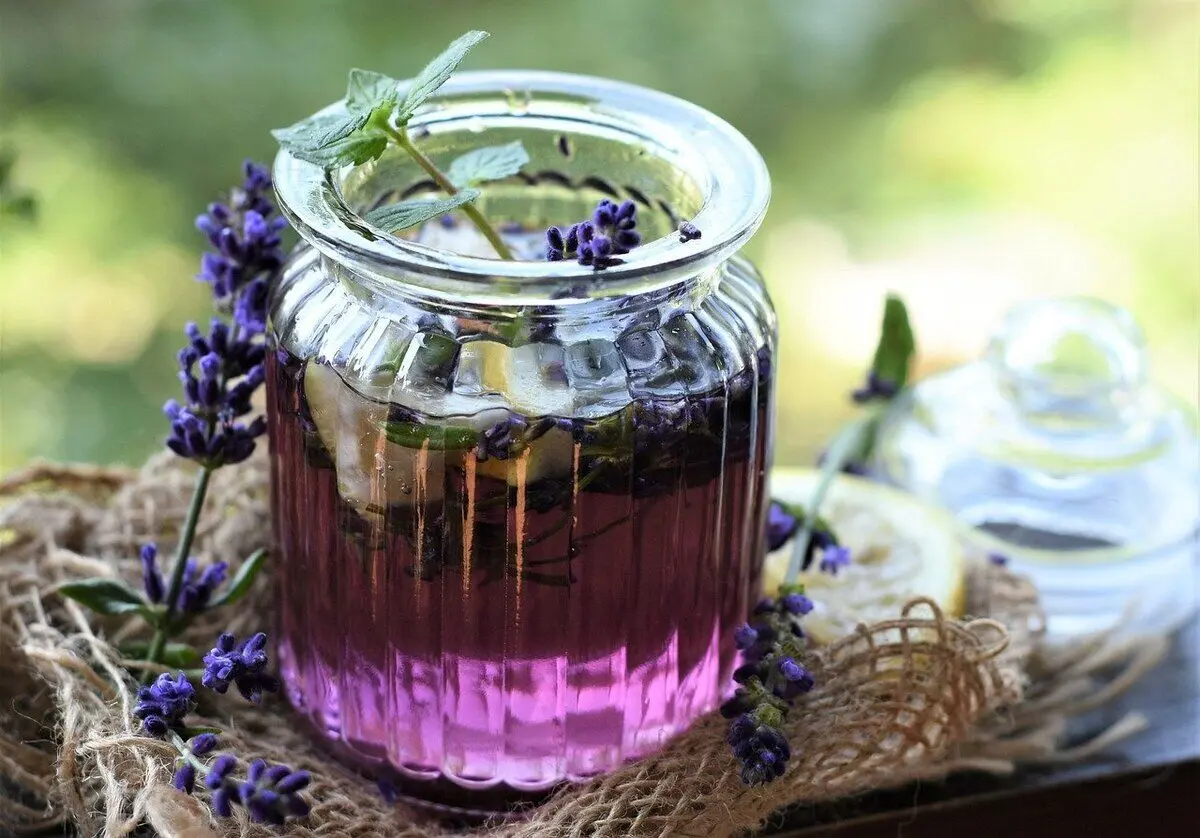 کاهش اضطراب و استرس با مصرف یک دمنوش گیاهی