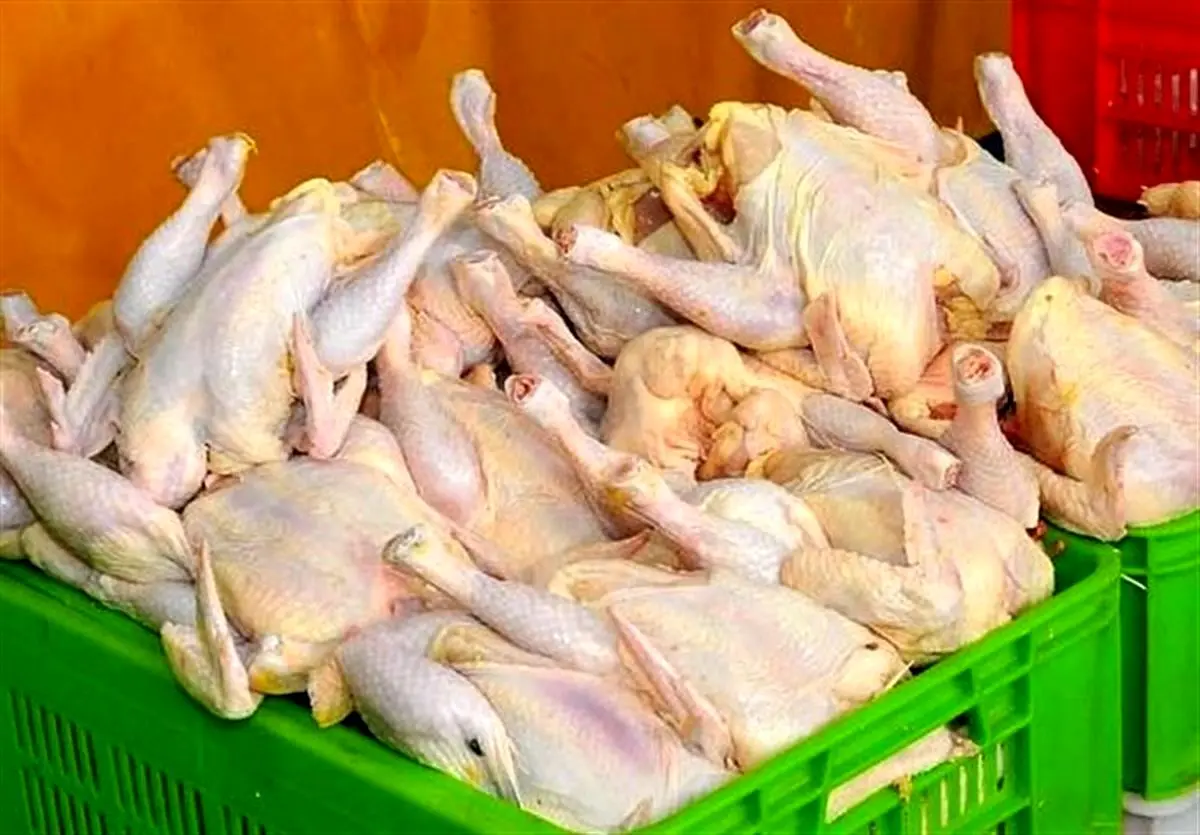 تصویب افزایش قیمت مرغ هم تکذیب شد