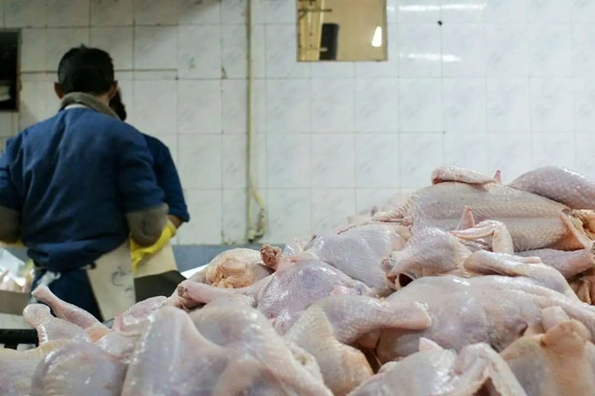 حقایقی درباره قیمت مرغ