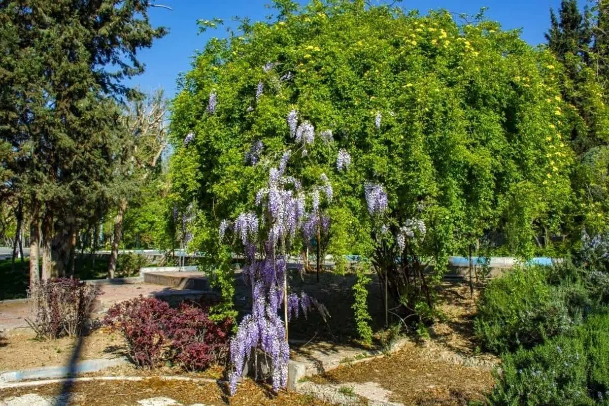 پیشبینی وضعیت آب و هوای تهران فردا چهارشنبه ۱۳ اردیبهشت ۱۴۰۲