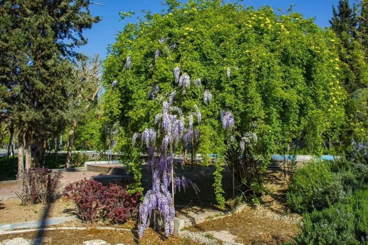 پیش‌بینی وضعیت آب و هوای تهران فردا چهارشنبه ۱۳ اردیبهشت ۱۴۰۲