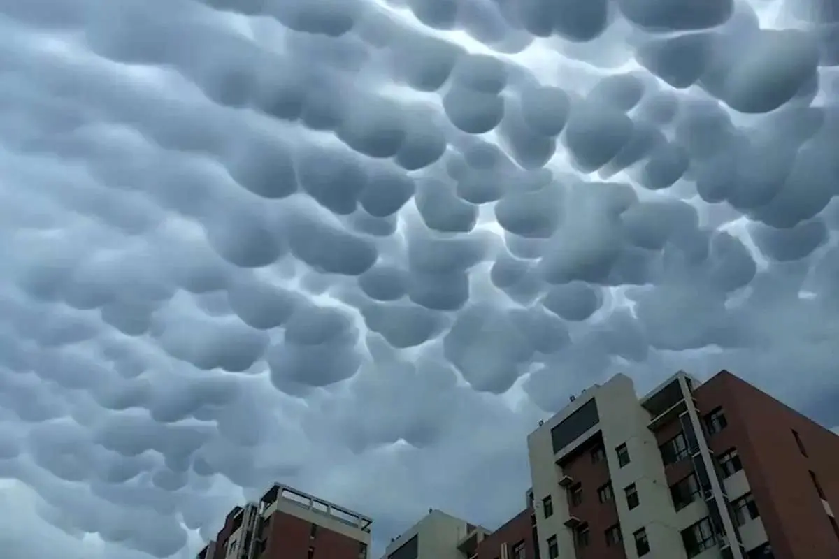 (ویدئو) آسمان پنبهای تگزاس
