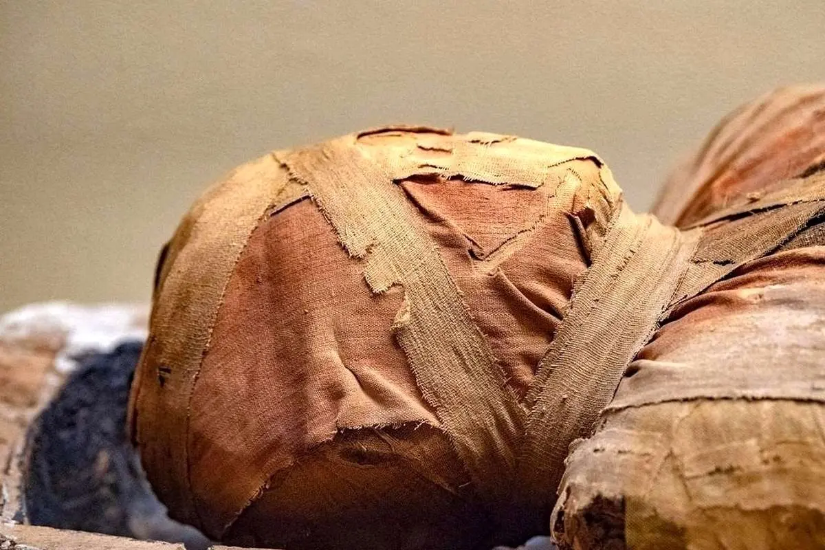 سه مومیایی ثروتمند مصر باستان؛ پسری با ۴۹ آمولت و مومیایی طلاپیچ شده