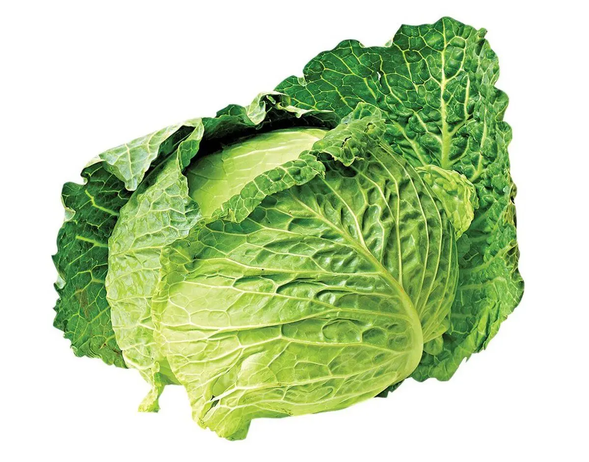 خوردن کدام گیاه از ابتلا به سرطان جلوگیری می‌کند؟