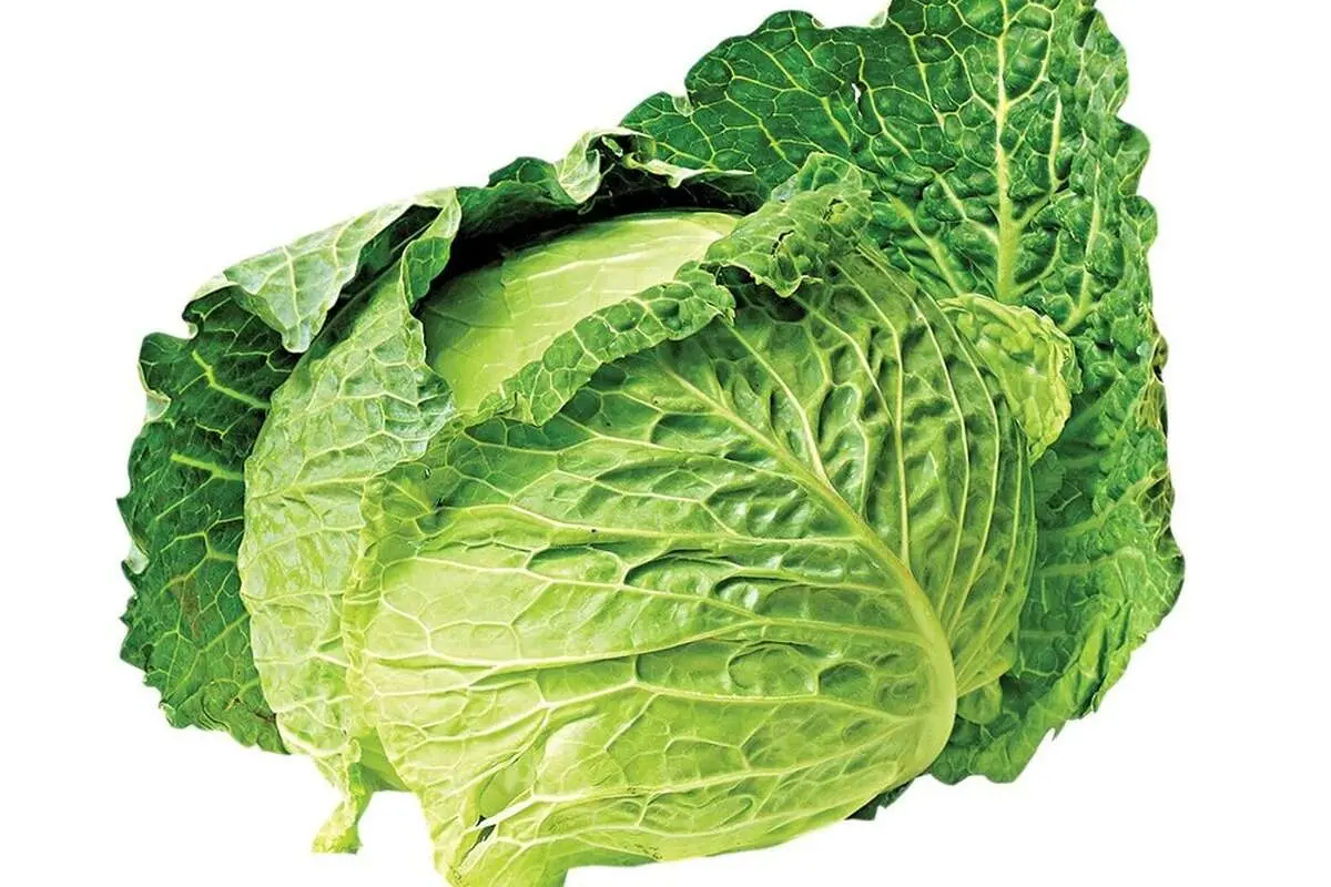 خوردن کدام گیاه از ابتلا به سرطان جلوگیری میکند؟