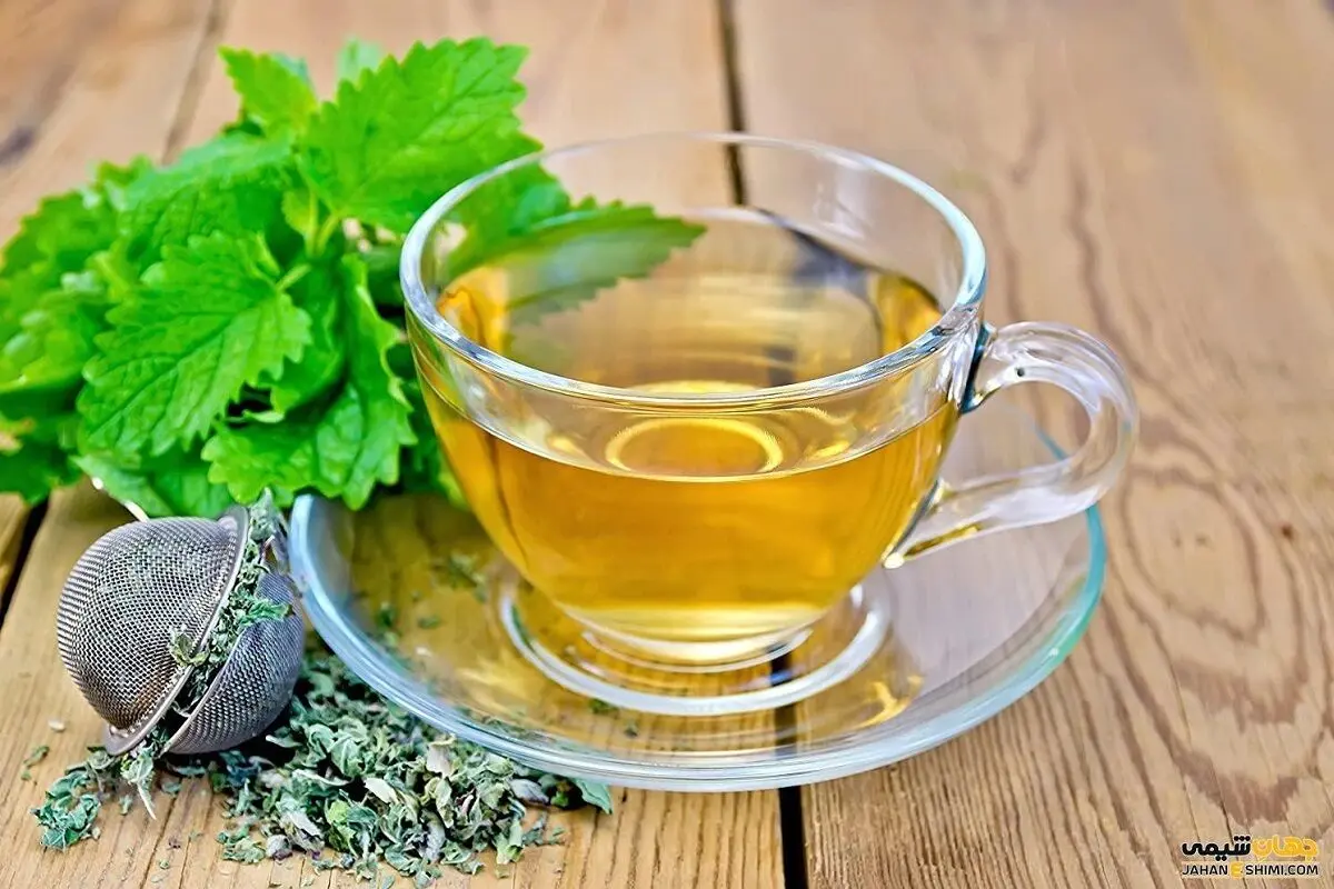 گیاه مورد علاقه ابوعلی سینا و خواص شگفت‌آور آن را بشناسید