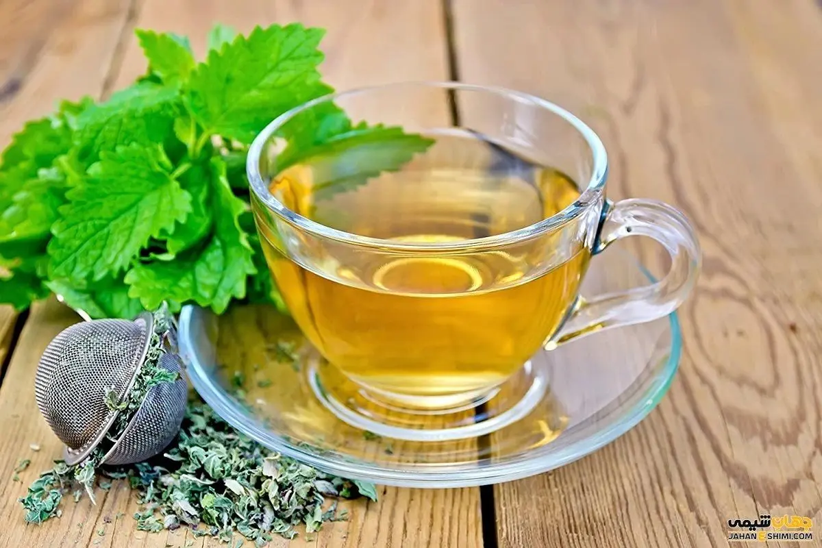 گیاه مورد علاقه ابوعلی سینا و خواص شگفت‌آور آن را بشناسید