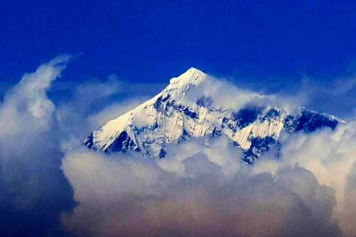 جاذبه‌ مرگبار جهان!