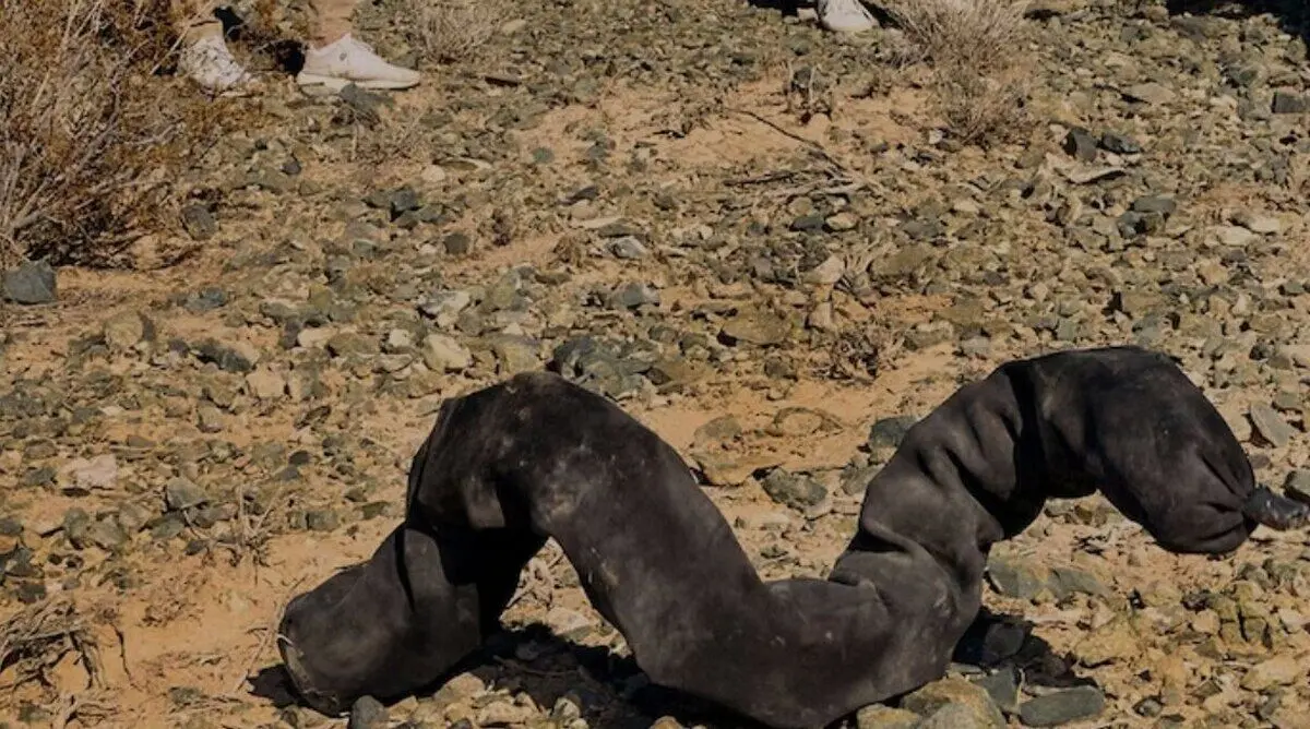 (عکس) کبری به ماه می‌رود