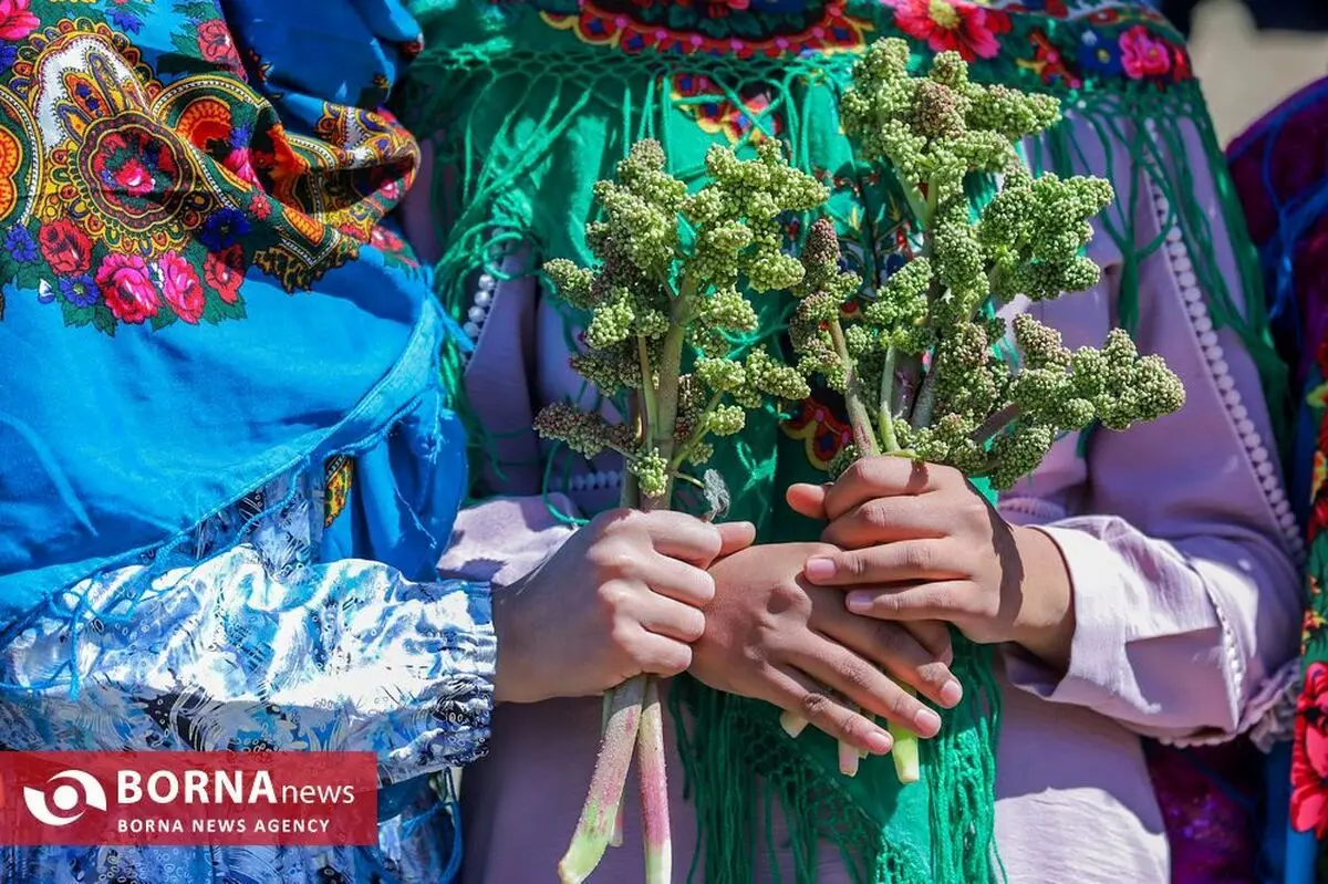 (تصاویر) جشنواره ریواس