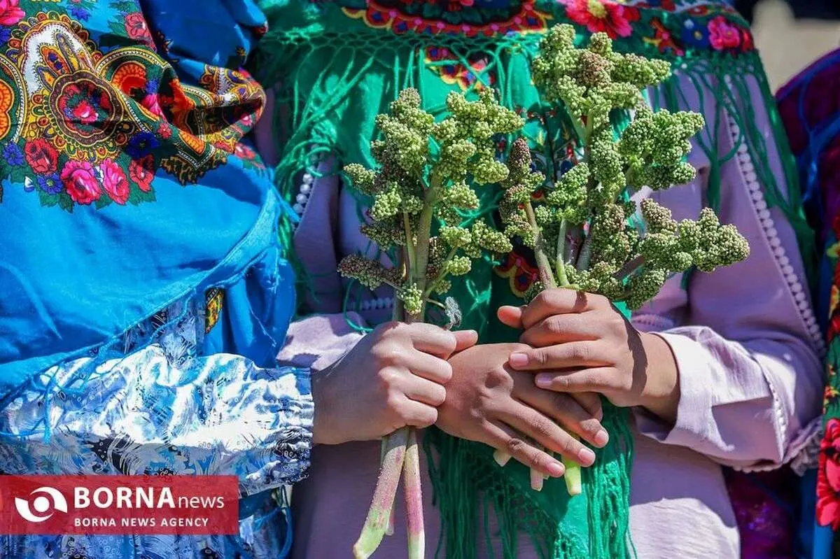 (تصاویر) جشنواره ریواس