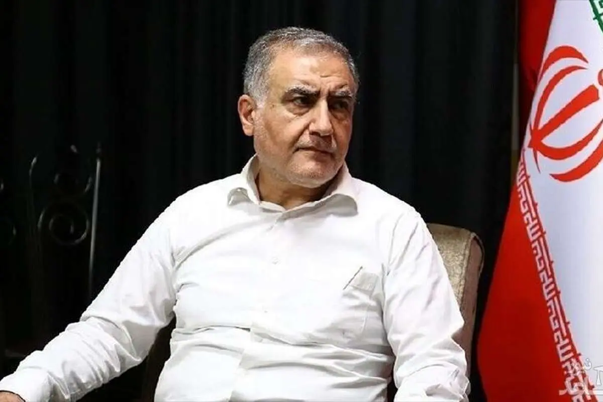 علیرضابیگی: نمایندگان به درخواست شرکت جعلی تن دادند