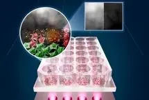 درمان سرطان با نور LED بدون تخریب سلول‌های سالم
