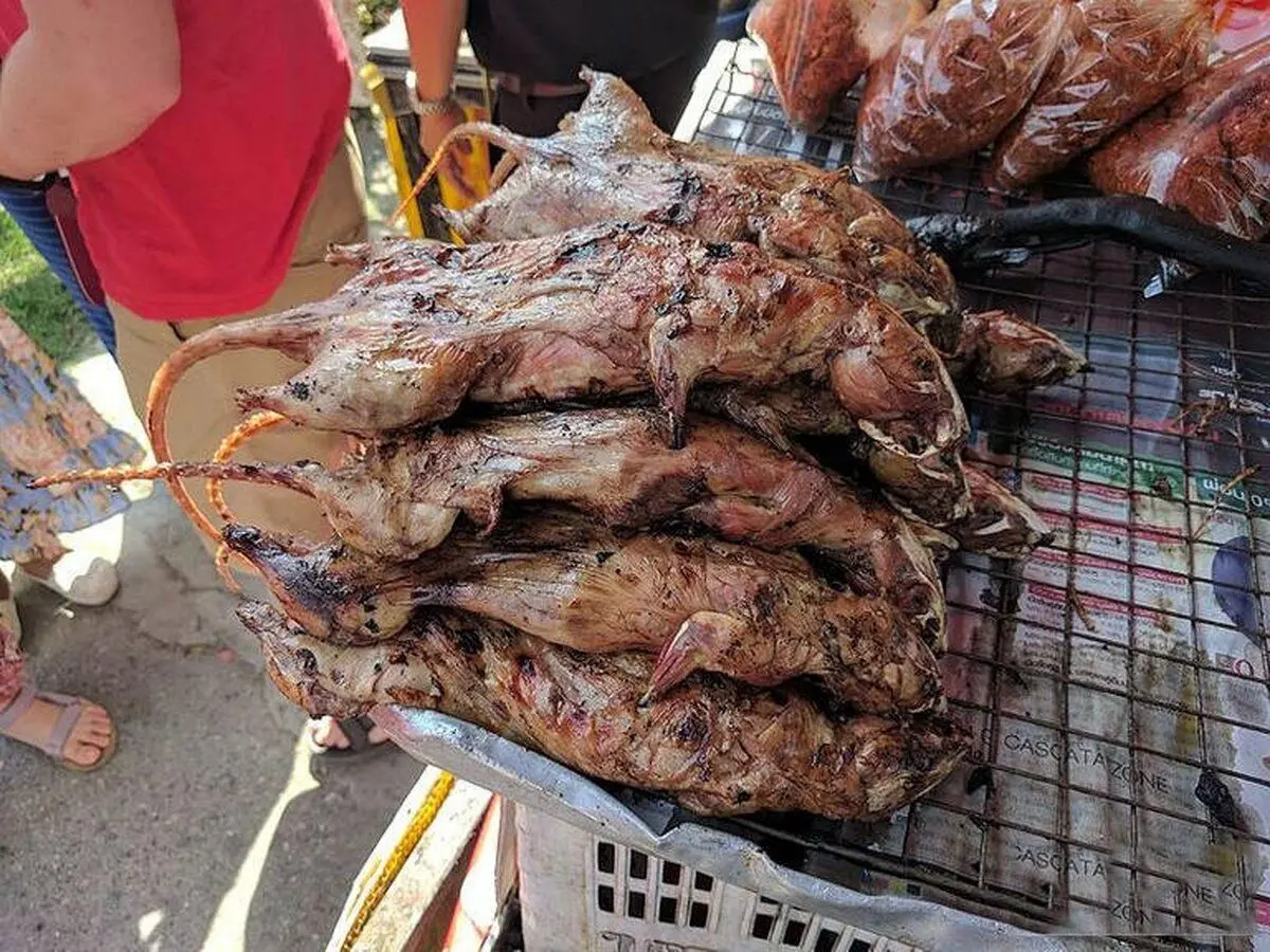 (ویدئو) این غذای چندش‌آور، محبوب ژاپنی‌هاست؛ کباب موش!