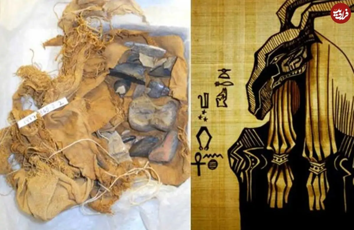 (عکس) کشفِ استخوان‌های یکی از خدایان مهم مصر!