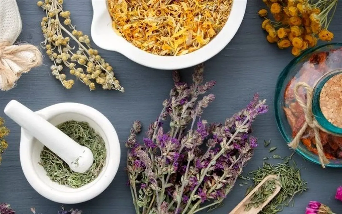 ۱۷ توصیه طب ایرانی برای فصل بهار