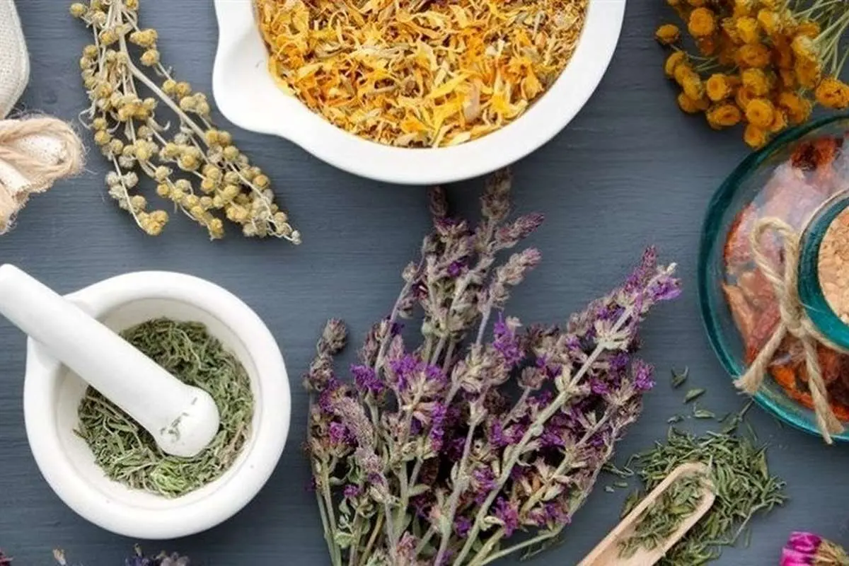 ۱۷ توصیه طب ایرانی برای فصل بهار