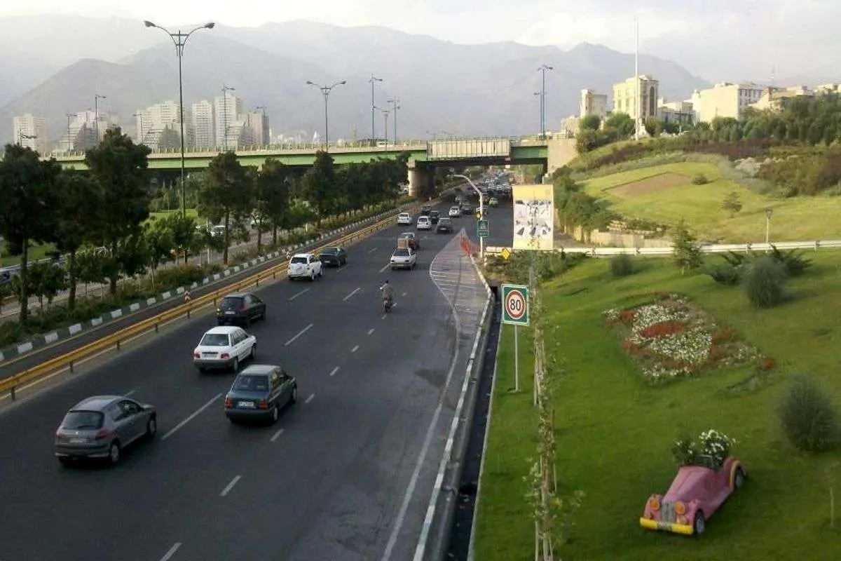 (عکس) فرش زیبایی که زیر پای ژیان و پیکان پهن شد!