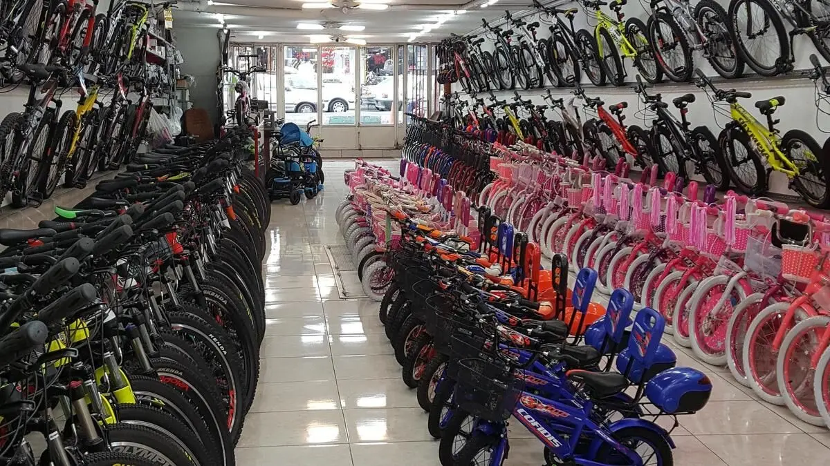 خرید دوچرخه هم رویا شد!