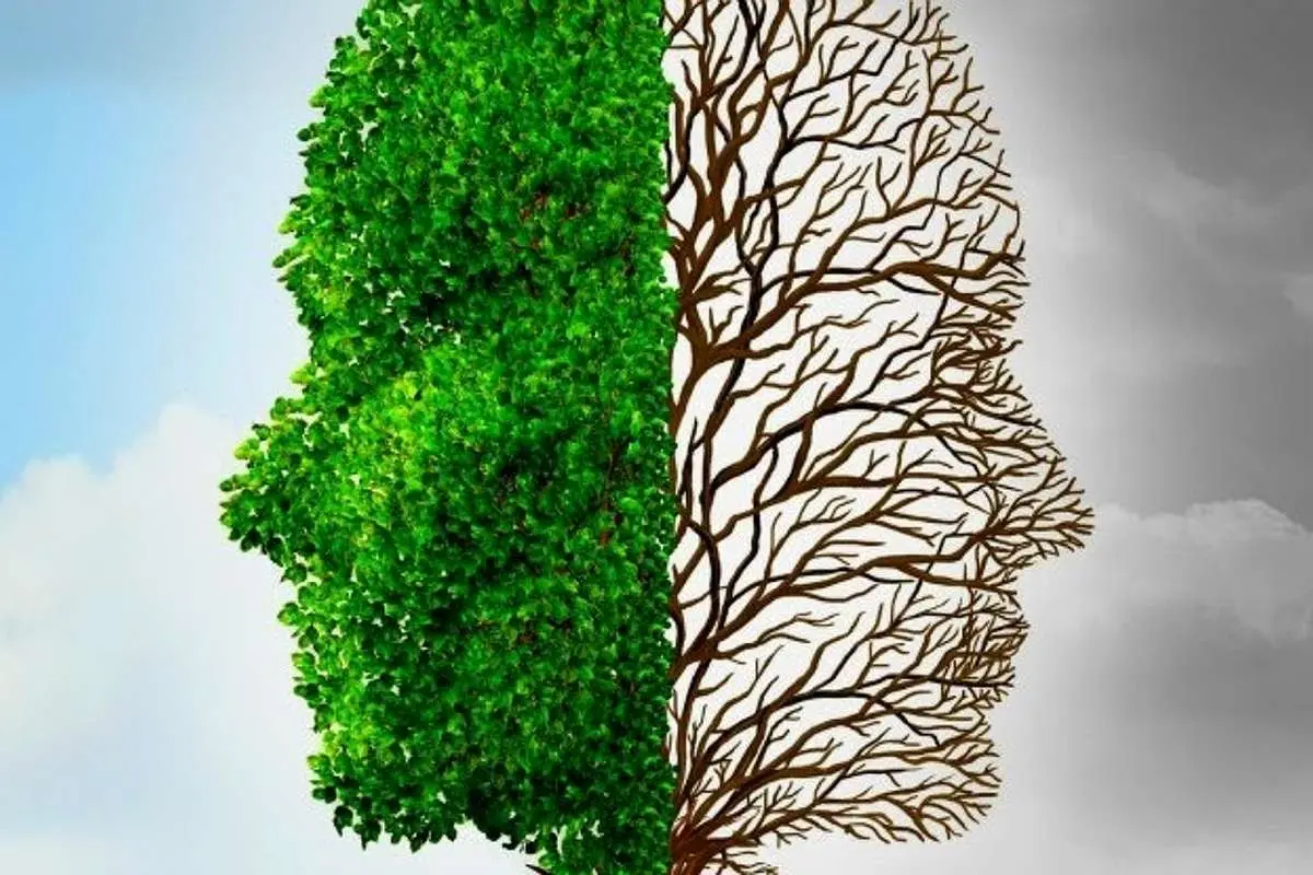 چه فصلی مغز ما بهتر کار میکند؟