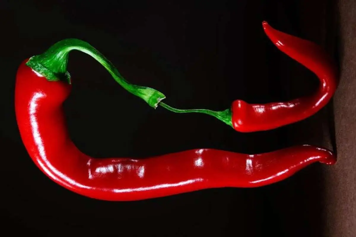 با خوردن غذا‌های تند چه اتفاقی در بدن‌تان رخ می‌دهد؟