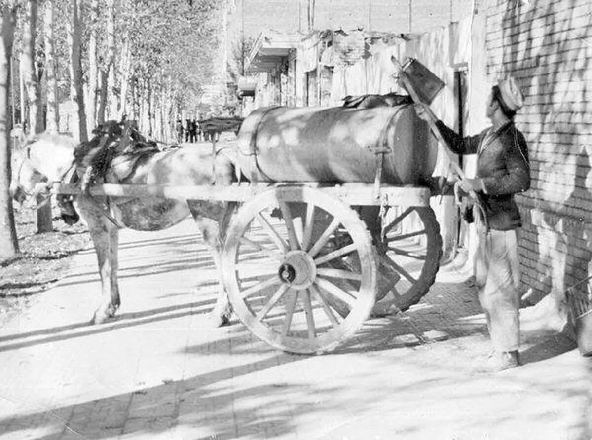 تجارت پرسودی که بوی گند می‌داد