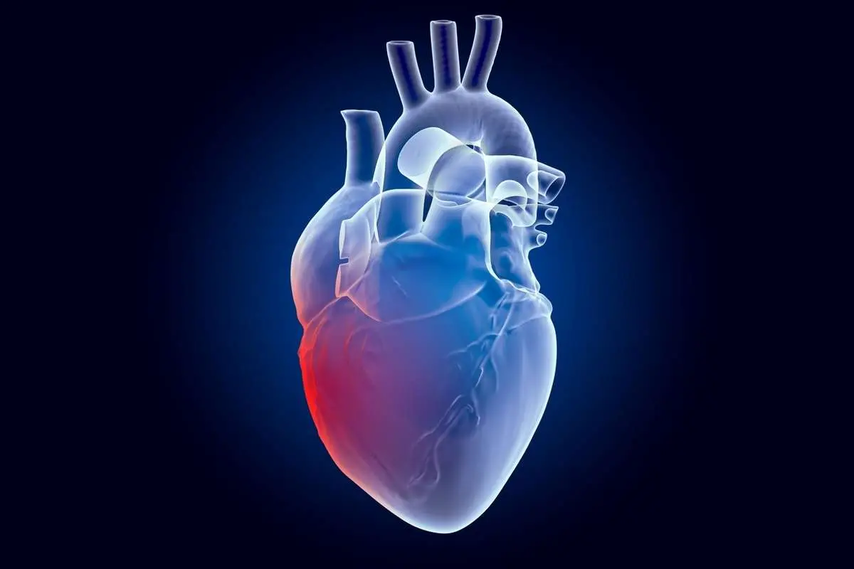 هشدار؛ آلودگی هوا ریسک آریتمی قلب را افزایش میدهد