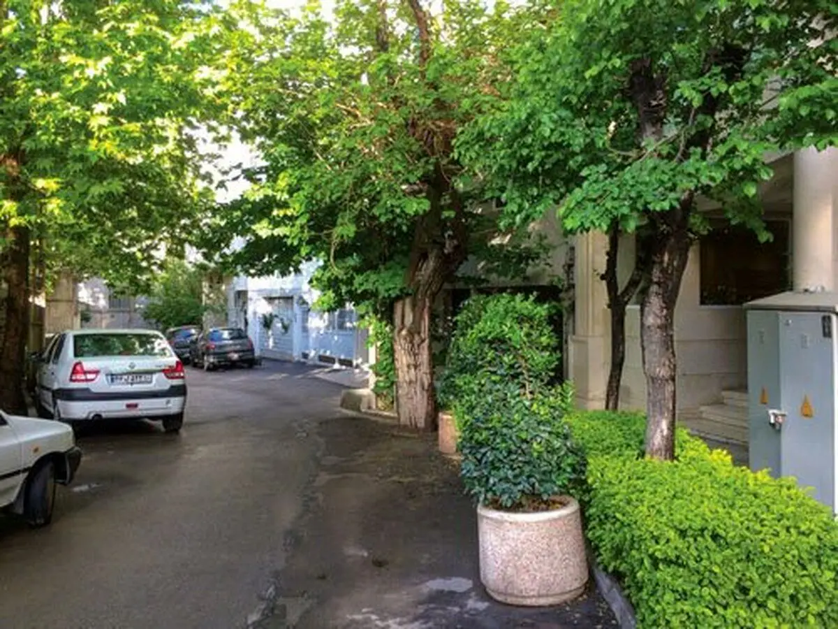 کوچه قورباغه ۲ قرن قدمت دارد/ رمزگشایی از نام کوچه قدیمی شمال تهران