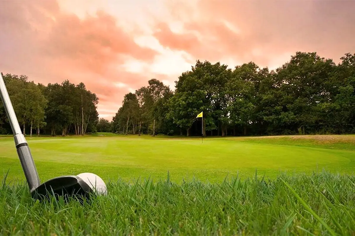 (ویدئو) فناوری جالب برای جمع کردن توپ گلف از روی زمین!