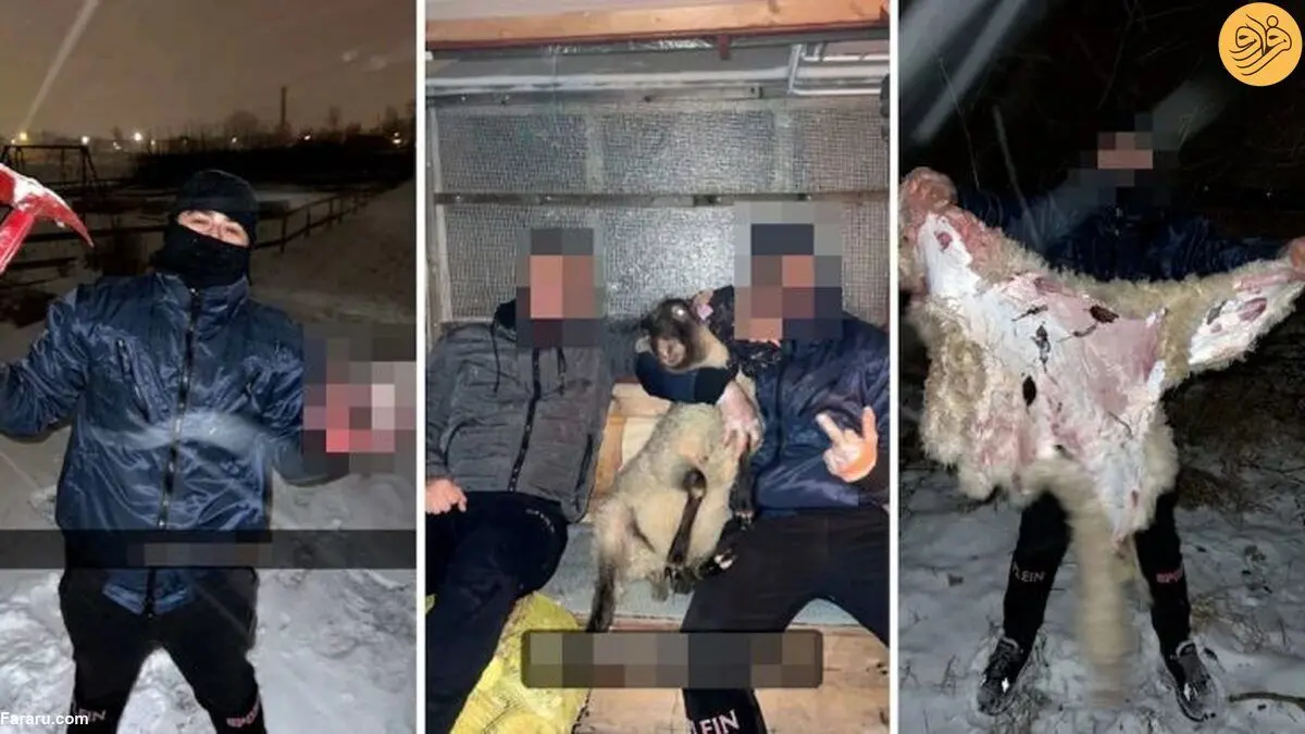 ۲ سال و نیم زندان به اتهام ذبح گوسفند!