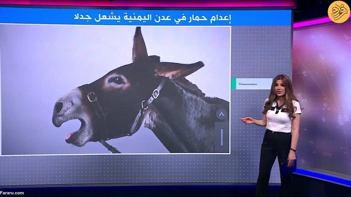 (ویدئو) اعدام وحشتناک یک الاغ به جرم گاز گرفتن!