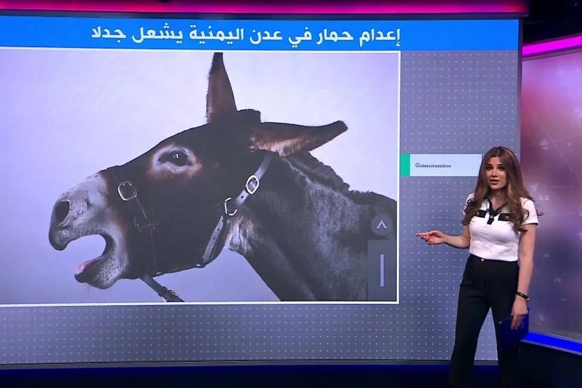 (ویدئو) اعدام وحشتناک یک الاغ به جرم گاز گرفتن!