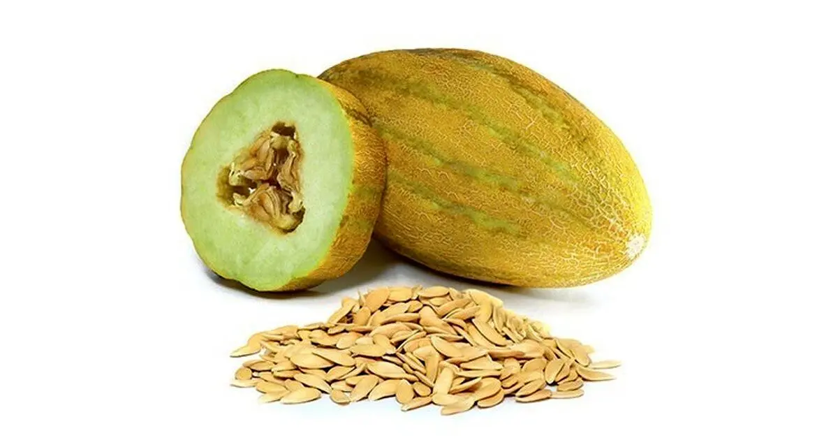 فواید معجزه‌آسای تخم خربزه برای سلامتی